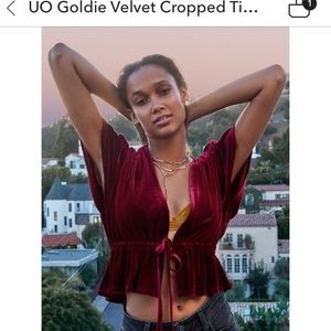 UO Goldie velvet cropped top